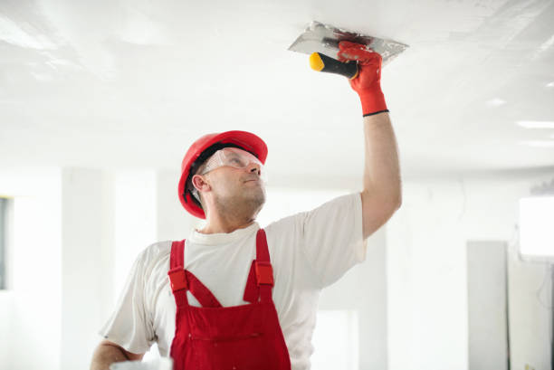 Best Commercial Painting  in Braidwood, IL